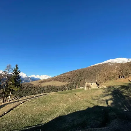 Il Cervo